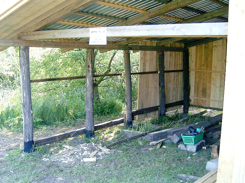 20100609 001.jpg